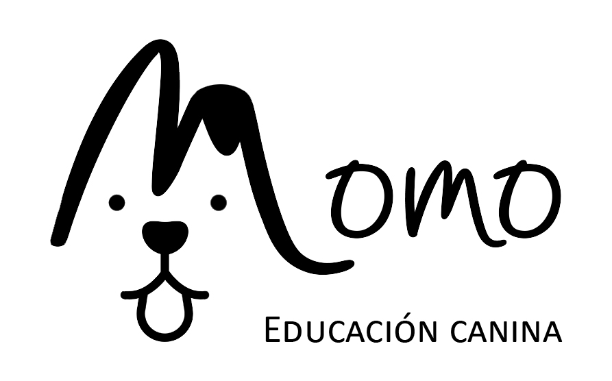 Momo Educación canina