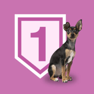 Sesión Individual. Modificación de la conducta