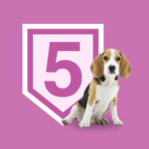 Bono 5 sesiones. Modificación de la conducta