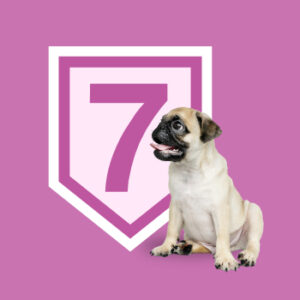 Bono 7 sesiones. Modificación de la conducta