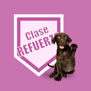 Clases de refuerzo. Modificación de la conducta