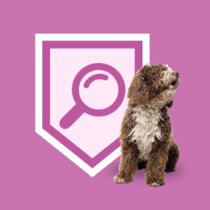 Valoración previa. Modificación de la conducta