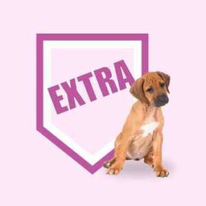 Clases Individuales Extras. Educación Básica