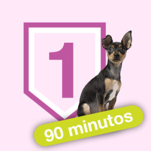 Icono sesión individual Educación Canina Básica 90 minutos