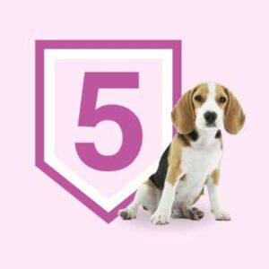 Bono 5 sesiones. Educación Básica