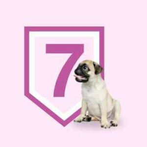 Bono 7 sesiones. Educación Básica